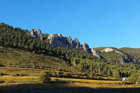 Villa Belle Suzette, Villa à Malaucène près du Mont Ventoux - Photo 35