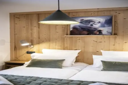 CHAPELLE DABONDANCE Le Flocon Blanc A38S, Appartement 8 personnes à La Chapelle dabondance - Photo 19