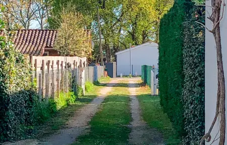 Location Maison 8 personnes à Vensac - Photo 6