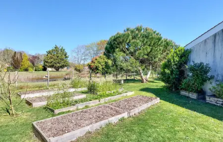 Location Maison 8 personnes à Vensac - Photo 8