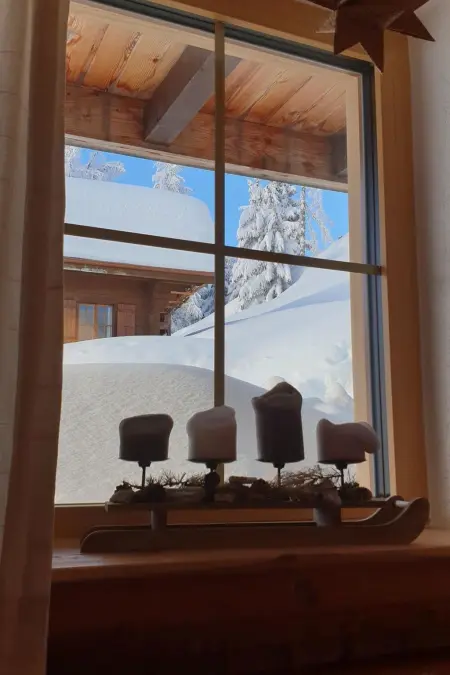 Jonathan EG Süd, Appartement 5 personnes à Riederalp - Photo 9