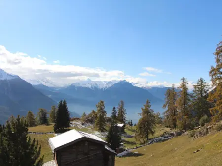 Jonathan EG Süd, Appartement 5 personnes à Riederalp - Photo 15