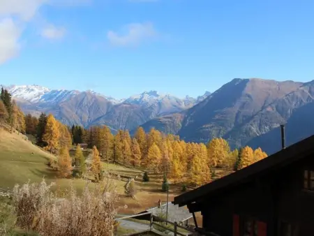 Jonathan EG Süd, Appartement 5 personnes à Riederalp - Photo 16