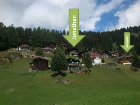 Jonathan EG Süd, Appartement 5 personnes à Riederalp - Photo 17