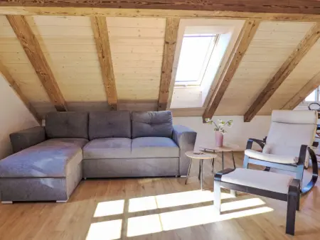 Huus Chloster, Apt Büel, Chalet 5 personnes à Krattigen - Photo 1