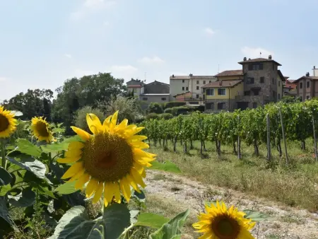 La Corte Bricca (Casa Padronale), Gite 8 personnes à Oltrepò Pavese - Photo 30
