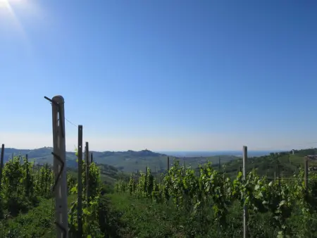 La Corte Bricca (Casa Padronale), Gite 8 personnes à Oltrepò Pavese - Photo 36