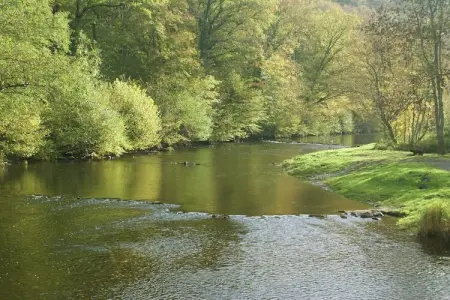 Domaine de Barbouyons, Grande Retraite à Redu - Photo 38