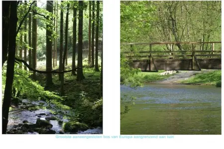 Domaine de Barbouyons, Grande Retraite à Redu - Photo 39