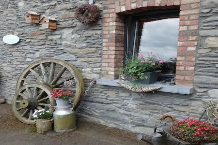 Le moulin d en bas, Moulin rénové à Bastogne près d'une cascade - Photo 35