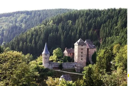 Thermae, Grande maison avec sauna, Ovifat - Photo 20