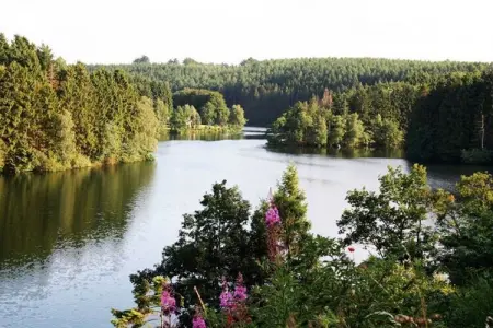 Thermae, Grande maison avec sauna, Ovifat - Photo 22
