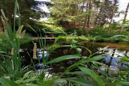 La Canne à Pêche, Chalet confortable avec sauna, Wibrin - Photo 33