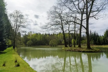 Les Cygnes Noirs, Retraite bien-être à Gedinne - Photo 25