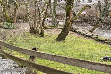 Le Martin Pêcheur, Maison de vacances à Semois près du kayak - Photo 28