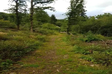La Gentilhommière, Retraite au manoir Riverside - Photo 35