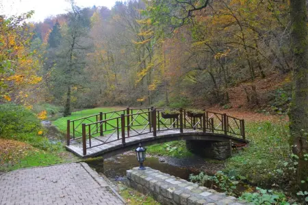 Le Vieux Moulin, Moulin historique avec sauna - Photo 7
