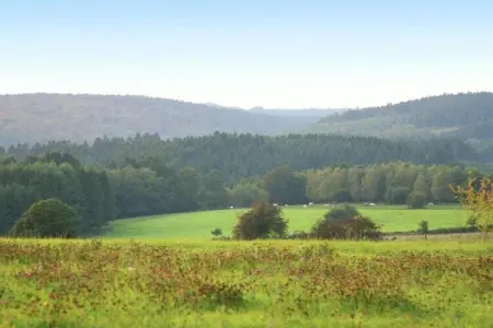 La Chouette, Villa Bien-être & Nature Waimes - Photo 35