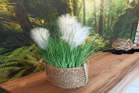 La Fraise des Bois, Maison à Stoumont près des Cascades de Coo - Photo 22
