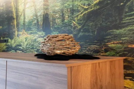 La Fraise des Bois, Maison à Stoumont près des Cascades de Coo - Photo 30