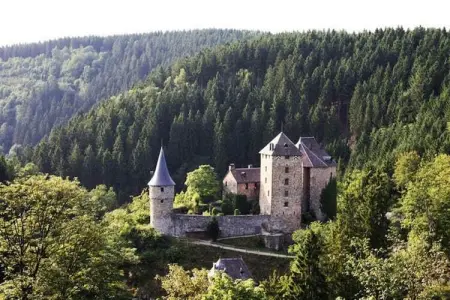 La Clé des Fagnes, Escapade en lisière de forêt à Waimes - Photo 38