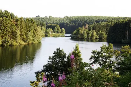 Le Chalet des Robinsons, Chalet Longfaye avec sauna - Photo 32