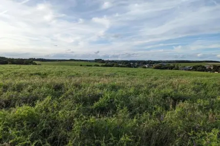 La Ferme Tirou, Retraite en lisière de forêt de Bièvre - Photo 29