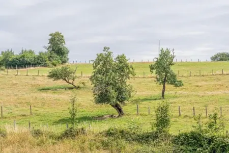 La Ferme Tirou, Retraite en lisière de forêt de Bièvre - Photo 30