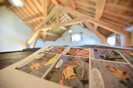 La Joie de Vivre, Maison en Ardennes avec Piscine et Sauna - Photo 35