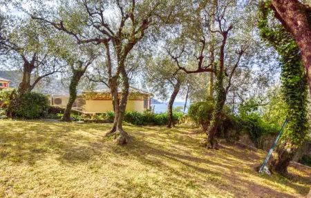 Location Maison 8 personnes à Camogli - Photo 7