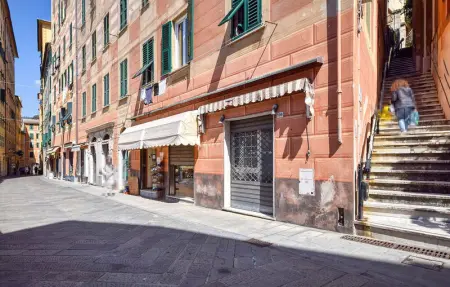 Location Appartement 6 personnes à Camogli - Photo 28