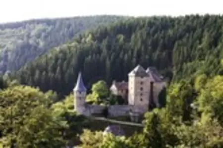 Landgoed Hoge Venen 30-pers, Malmedy Luxe Retreat & Spa - Photo 36