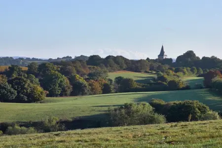 La Limbourgeoise, Retraite nature du Limbourg - Photo 22