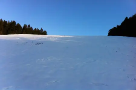 Le Goût du Bonheur, Maison à Waimes près de la réserve naturelle - Photo 18