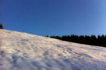 Le Goût du Bonheur, Maison à Waimes près de la réserve naturelle - Photo 19