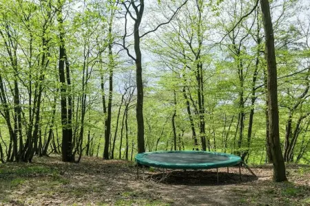 Au Lit de la Canelle, Maison à Dalhem avec sauna privé - Photo 27