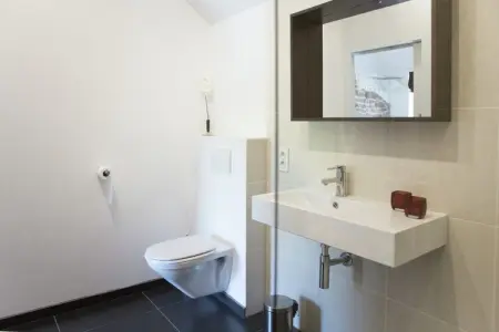 Amante, Agréable maison de vacances à Erezée située en lisière de forêt - Photo 17