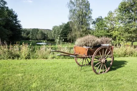 Amante, Agréable maison de vacances à Erezée située en lisière de forêt - Photo 20