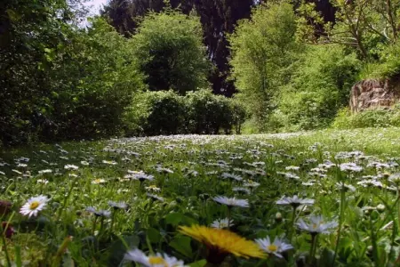 La Vue Spectaculaire, Vue sur la vallée de la Meuse à Hastière - Photo 37