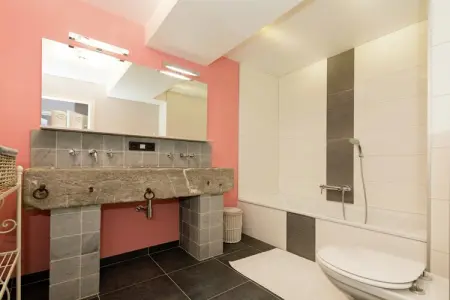 Le Grenier du Gerny, Ferme des Marches avec jacuzzi - Photo 21