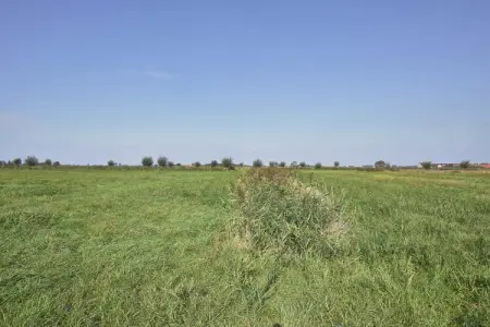 De Vlaamse Kust, Manoir de Dixmude avec jeux - Photo 36
