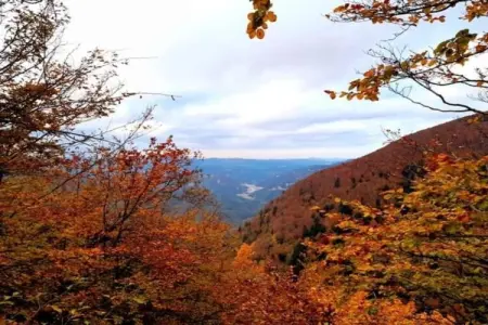 Le Paradis et Espace, Retraite avec vue sur la forêt de Rendeux - Photo 27