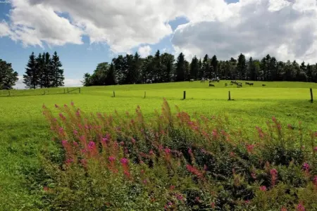 Le Paradis et Espace, Retraite avec vue sur la forêt de Rendeux - Photo 32