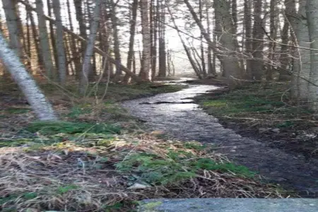 Le Paradis et Espace, Retraite avec vue sur la forêt de Rendeux - Photo 33