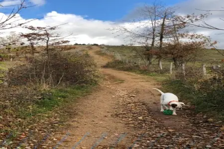 Le Paradis et Espace, Retraite avec vue sur la forêt de Rendeux - Photo 35