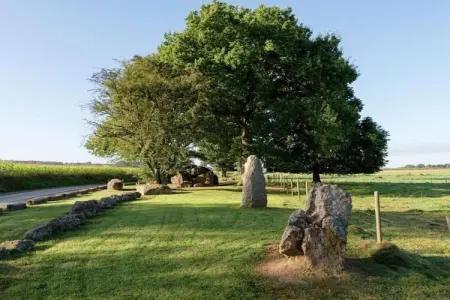 Le Paradis et Espace, Retraite avec vue sur la forêt de Rendeux - Photo 36