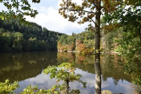 Ardenne Vintage, Manoir La Roche Riverside - Photo 37