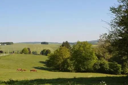 Le Refuge de Césyl, Maison de vacances Bertrix charmante avec 2 chambres - Photo 23