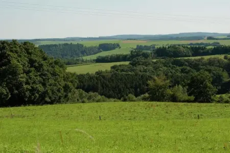 Perle d'Achouffe, Villa avec vue sur la forêt de Houffalize - Photo 37