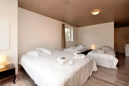 Villa Belle Vue, Villa de luxe avec piscine à Durbuy - Photo 30
